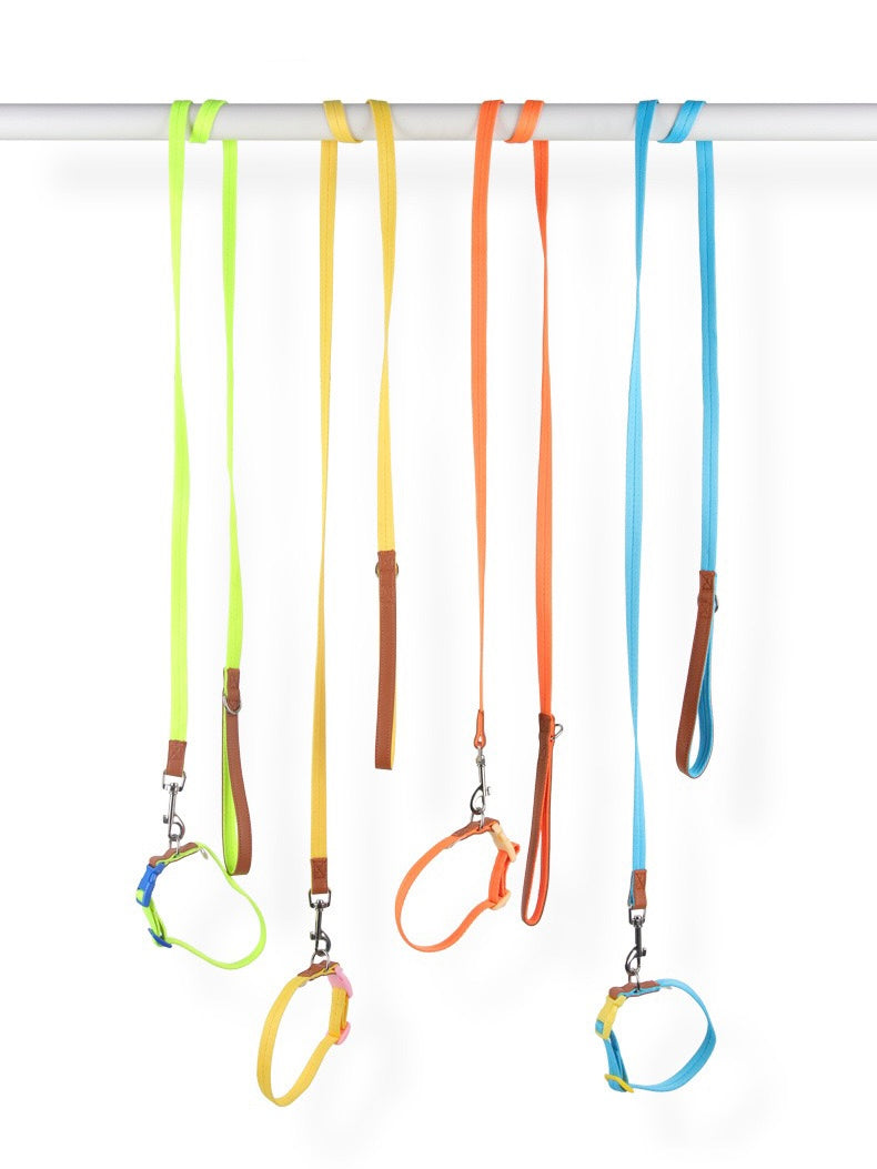 Colorful Premium Collar with Leash Set