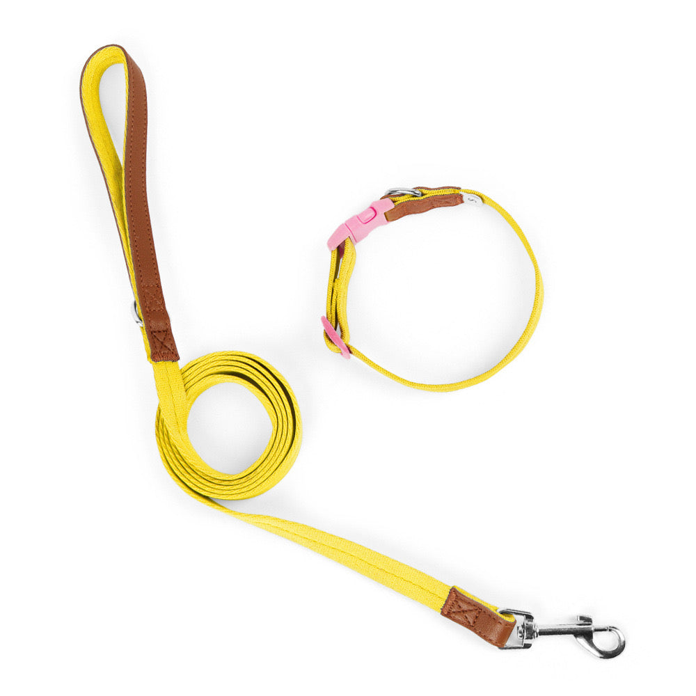 Colorful Premium Collar with Leash Set